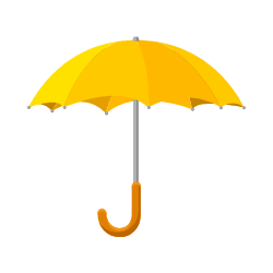 term insurance icon